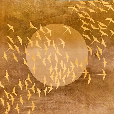 Appartement Restart Ada *